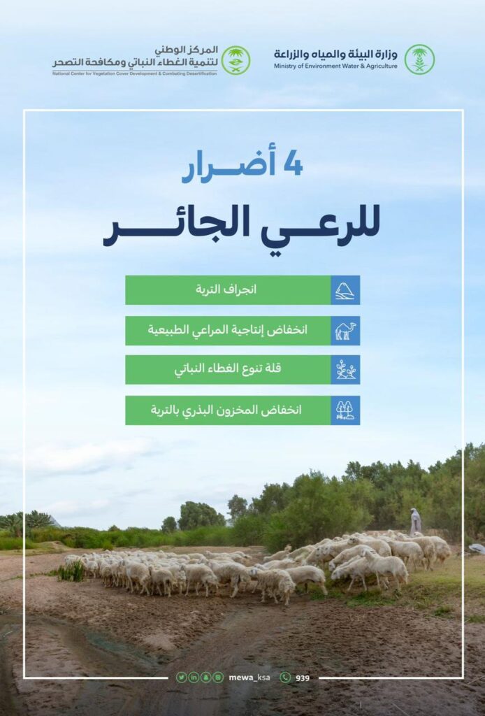 4 أضرار رئيسة للرعي الجائر على أراضي المملكة