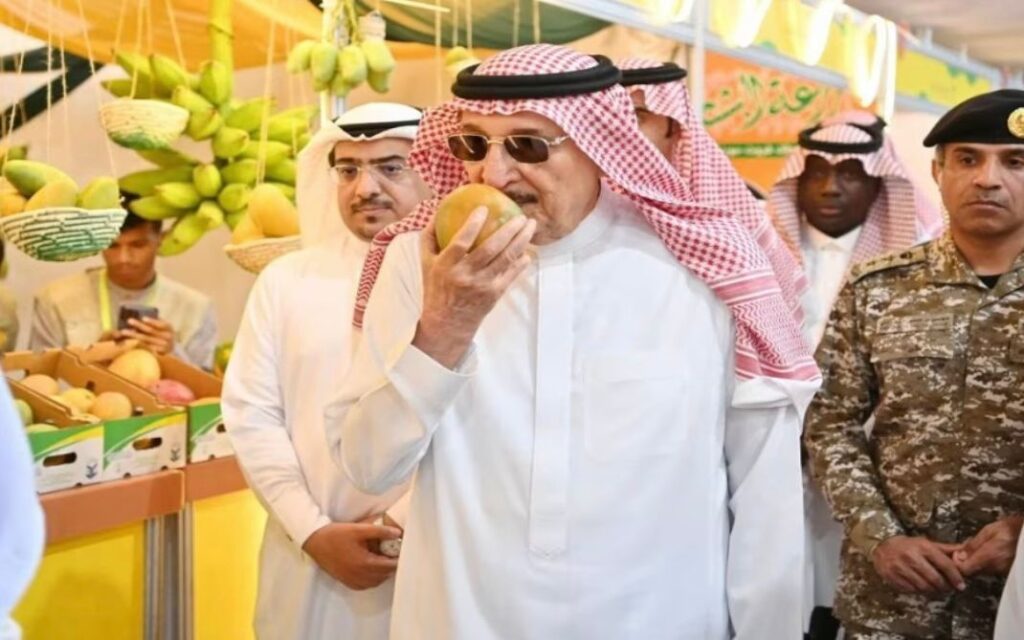 مانجو جازان