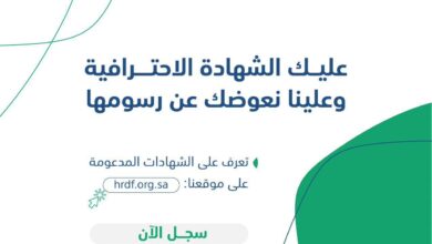 شهادات مهنية تخدم سوق العمل   