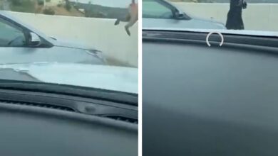قرد يهاجم فتاة في أبها أثناء تصويرها السحاب