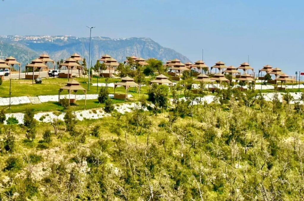 غابة رغدان