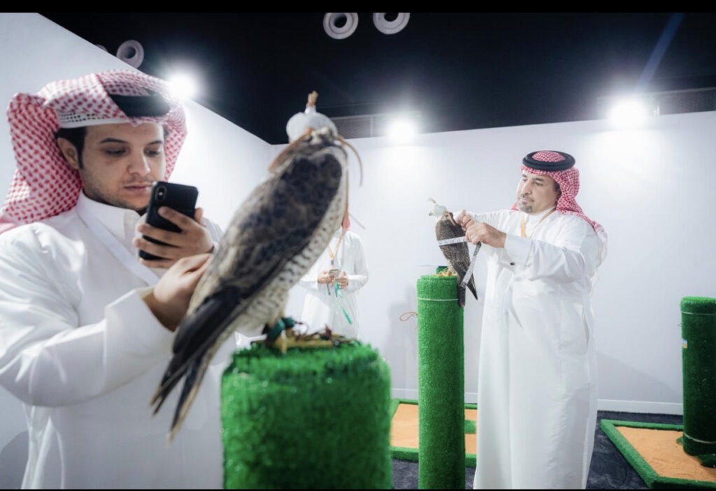 مبيعات مزاد نادي الصقور السعودي تقارب المليون ريال