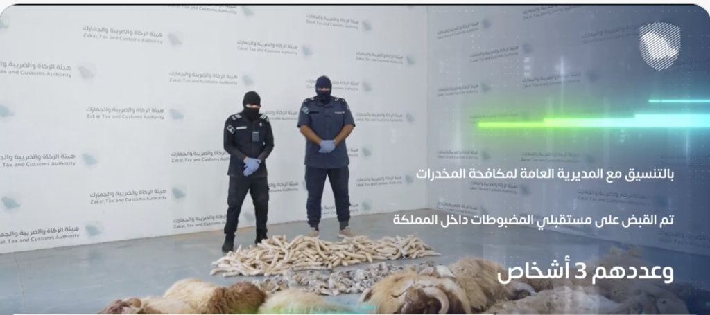 إحباط تهريب كبتاجون في فرو الأغنام