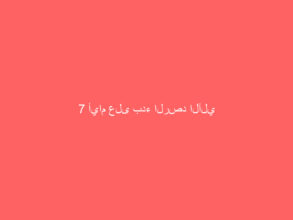 7 أيام على بدء الرصد الآلي لمخالفة عدم الالتزام بحدود المسارات المحددة