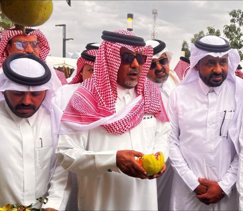 سراة عبيدة تحتفي بموسم الرمان وتدعم المنتج الزراعي المحلي في مهرجانها السادس