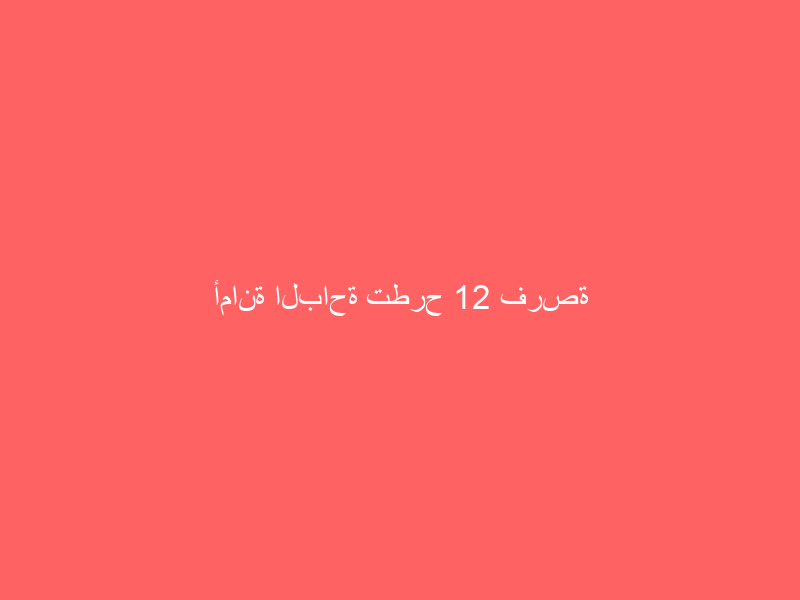 أمانة الباحة تطرح 12 فرصة استثمارية مميزة لوفد غرفة مكة المكرمة