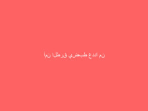 أمن الطرق يضبط عددًا من الشاحنات والمركبات المحملة بالحطب المحلي وقائديها