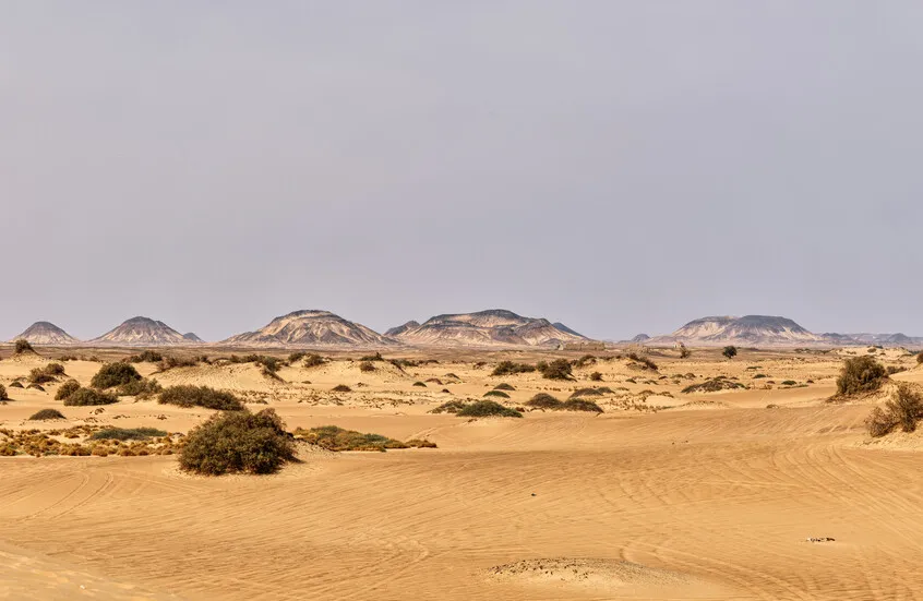 اكتشاف سر بقاء ألوان الآثار المصرية زاهية لأكثر من 3000 عام