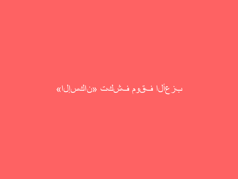 «الإسكان» تكشف موقف الأعزب من الدعم السكني