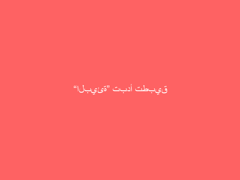 “البيئة” تبدأ تطبيق إلزامية استخدام الأدوات والاكسسوارات المرشدة للمياه