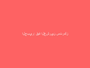 الجبير: قمة العشرين ستركز على مواجهة التحديات العالمية.. والمملكة لن تتوانى عن تقديم كافة المساعدات لحفظ الأرواح