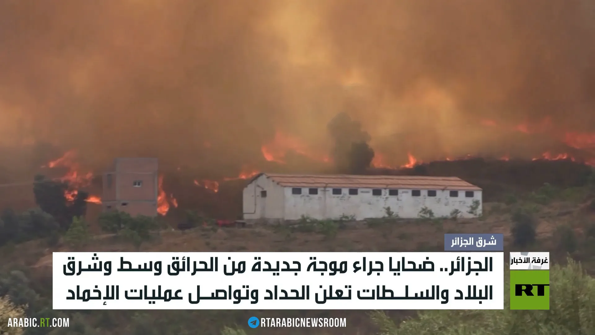 الجزائر.. حرائق وضحايا وحداد وطني