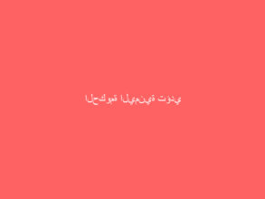 الحكومة اليمنية تؤدي اليمين الدستورية أمام الرئيس هادي بالرياض
