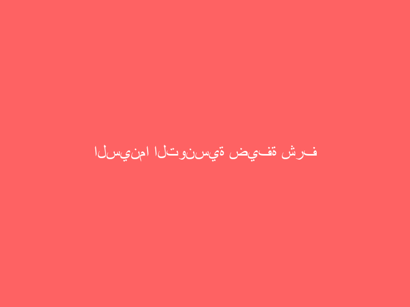 السينما التونسية ضيفة شرف مهرجان عمّان وهند صبري تُحادث جمهورها