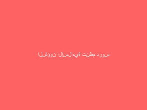 الشؤون الإسلامية تنظم دروس ومحاضرات بِمُحافَظَتي بيش والدرب بجازان