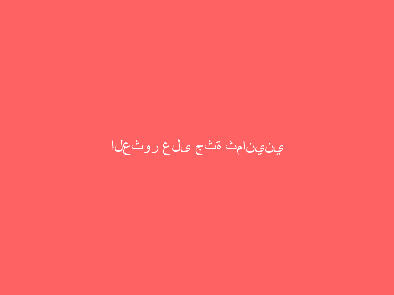 العثور على جثة ثمانيني بأحد الأودية جنوبي المظيلف العثور على جثة ثمانيني بأحد الأودية جنوبي المظيلف