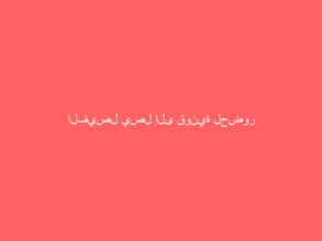 الفيصل يصل إلى قونية لحضور افتتاح ألعاب التضامن الإسلامي الخامسة و فهد بن جلوي رئيساً للبعثة السعودية