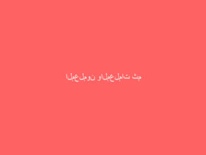 المعلمون والمعلمات ثم الضباط.. يتصدرون قائمة التقاعد المبكر