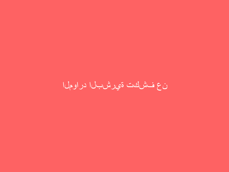 الموارد البشرية تكشف عن عدد مخالفات التوطين منذ بداية العام الجاري