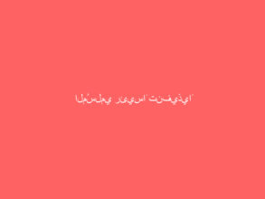 المُسلمي رئيساً تنفيذياً لقطاع شمال مكة المكرمة الصحي