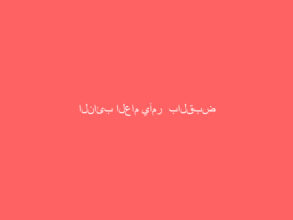 النائب العام يأمر  بالقبض على المتورطين في إطلاق النار في مهرجان الملك عبدالعزيز للإبل