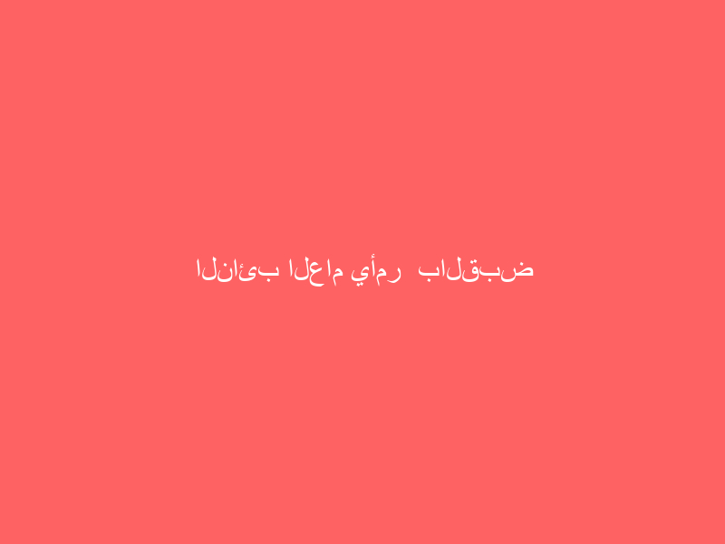 النائب العام يأمر  بالقبض على المتورطين في إطلاق النار في مهرجان الملك عبدالعزيز للإبل