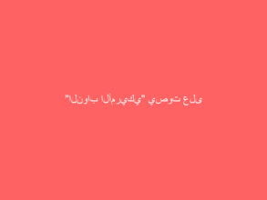 “النواب الأمريكي” يصوت على قانون لمنح كل مواطن 2000 دولار بطلب من ترامب