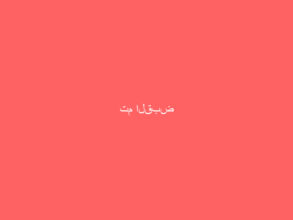 تم القبض