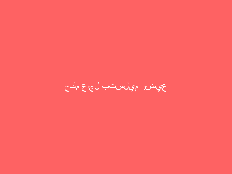 حكم عاجل بتسليم رضيع لوالدته بعد أن أخذه طليقها عقب ولادته