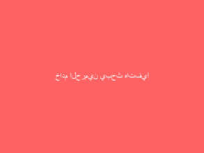 خادم الحرمين يبحث هاتفيًا مع رئيس تركيا تنسيق الجهود المبذولة ضمن أعمال قمة العشرين