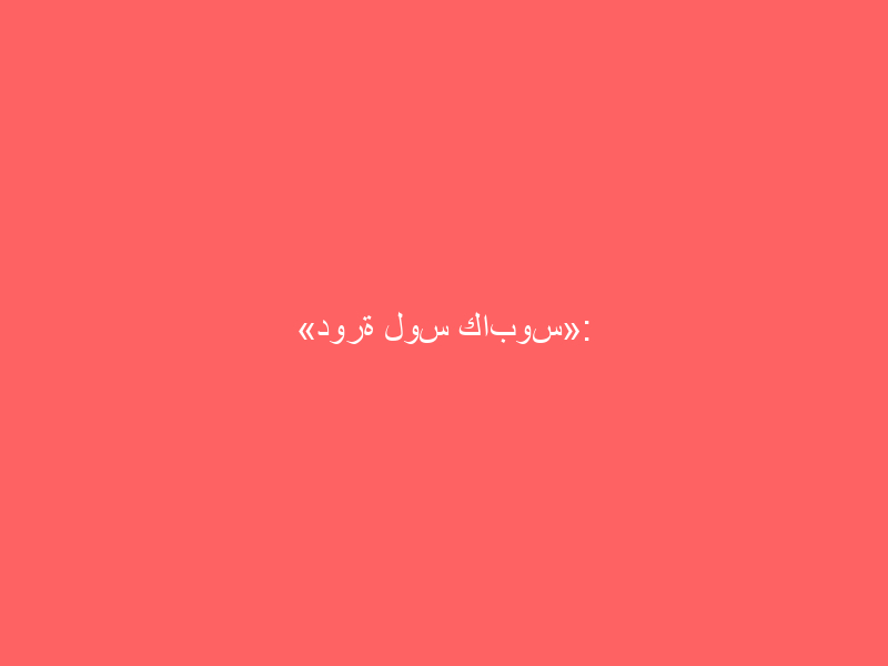 «دورة لوس كابوس»: شابوفالوف يتأهل للنهائي