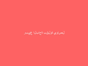 ربيع الباحة بقلوة يواصل فعالياته وبرامجه المختلفة