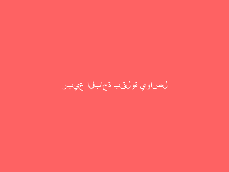 ربيع الباحة بقلوة يواصل فعالياته وبرامجه المختلفة