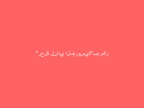 “رحلة لنادي الفروسية”بمركز غصون المستقبل بأبها