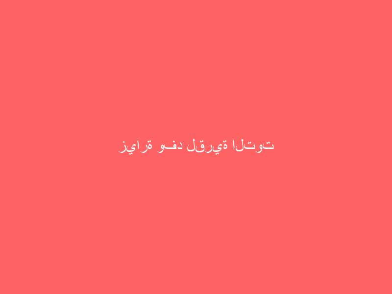 زيارة وفد لقرية التوت