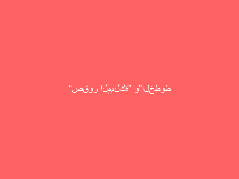 “صقور المملكة” و”الخطوط السعودية” يقدمان عرضًا في سماء الرياض