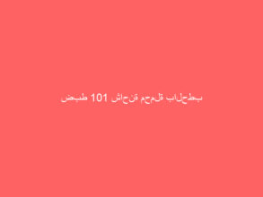ضبط 101 شاحنة محملة بالحطب المحلي المعد للبيع بعدة مناطق