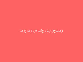 فرع تقنية بلجرشي يحتفي بالمتدرببن الحاصلين على جائزة المحافظ للتفوق العلمي
