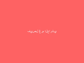 فيصل غرم الحارثي