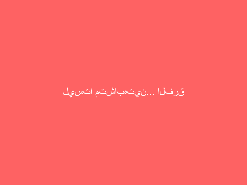 ليستا متشابهتين… الفرق الصحي بين السردين والأنشوجة