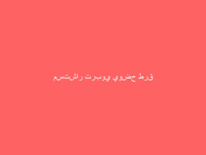 مستشار تربوي يوضح طرق ومواعيد المذاكرة الصحيحة