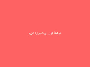 منها الزبادي… 9 أطعمة مخمّرة تدعم صحة الأمعاء