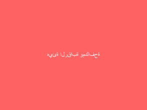 هيئة الرقابة ومكافحة الفساد تباشر (120) قضية جنائية
