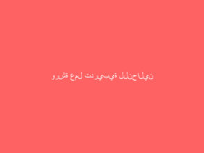 ورشة عمل تدريبية للنحالين بمحايل