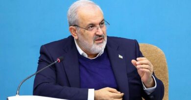 وزير الطاقة الإيراني: فاتورة الكهرباء لدى 75% من المواطنين لا تعادل حتى ثمن بيتزا