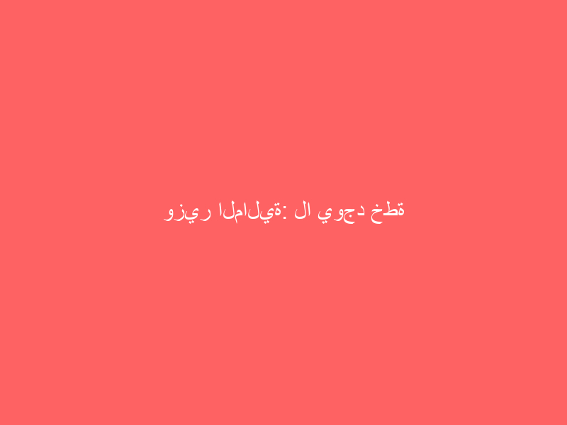 وزير المالية: لا يوجد خطة للنظر في ضريبة القيمة المضافة على المديين القصير والمتوسط