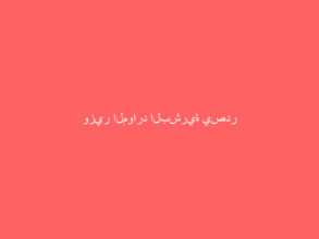 وزير الموارد البشرية يصدر قرارًا يقضي بتوطين المهن المحاسبية في القطاع الخاص