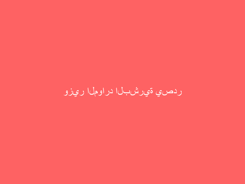 وزير الموارد البشرية يصدر قرارًا يقضي بتوطين المهن المحاسبية في القطاع الخاص