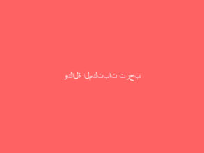 وكالة المكتبات ترحب بالزوار وطلبة العلم طوال ايام الأسبوع