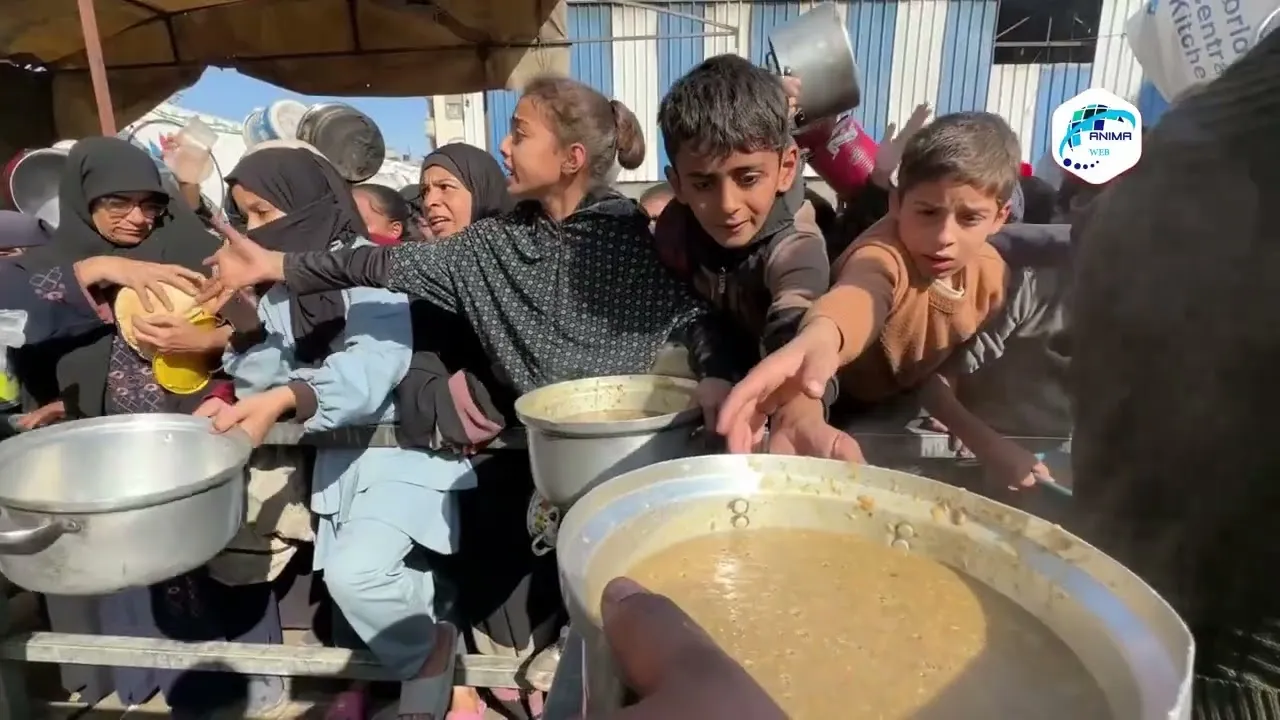 غزة.. معاناة يومية للحصول على وجبة طعام